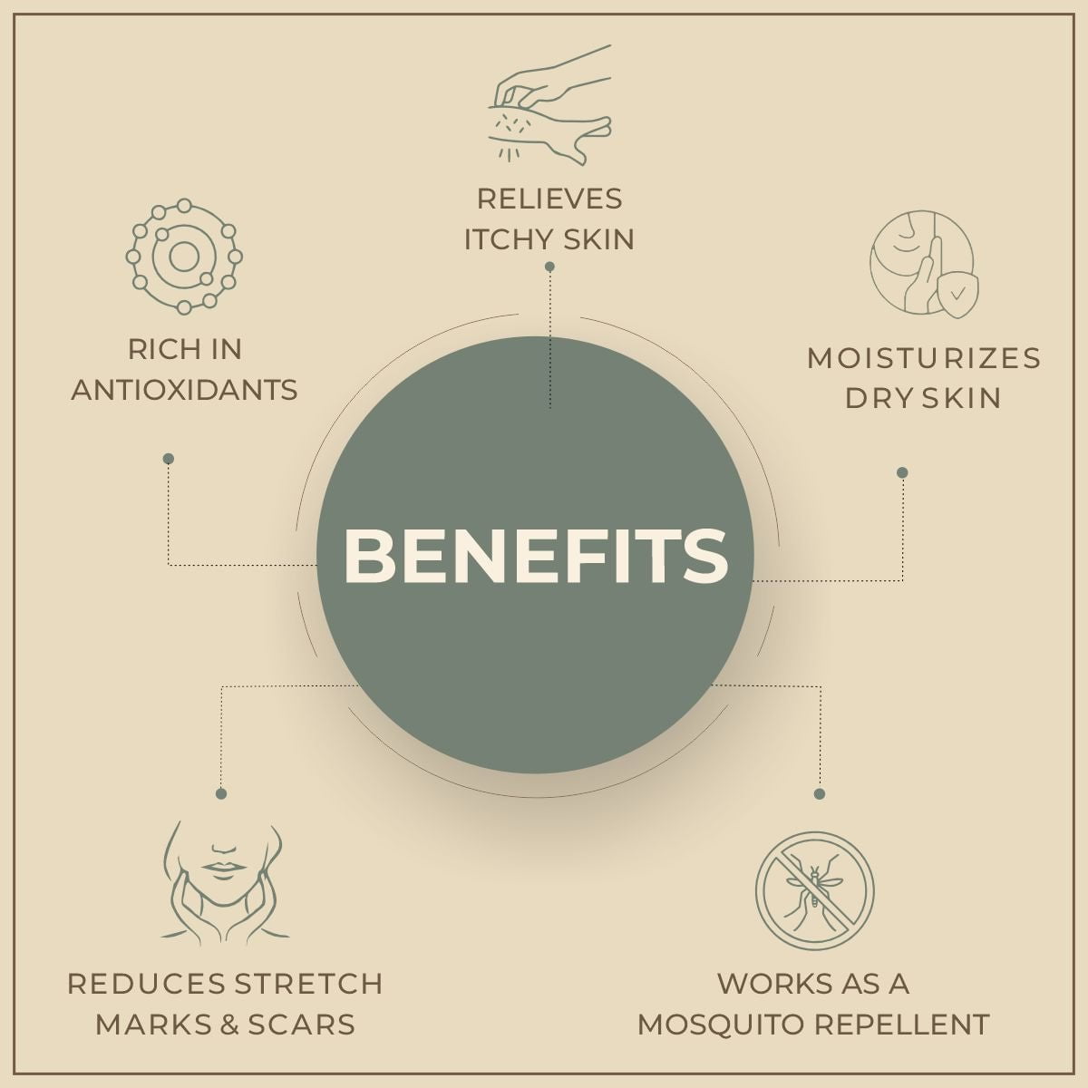 Salvia Natural Essential Oils Clove Oil Salvia Natural Essential Oils Clove Oil